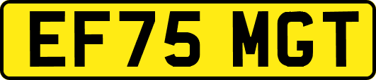 EF75MGT