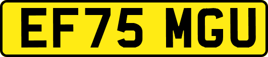 EF75MGU
