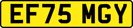 EF75MGY