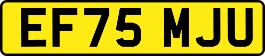 EF75MJU