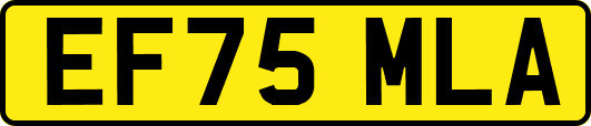 EF75MLA