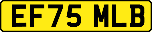 EF75MLB