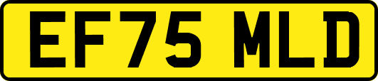 EF75MLD