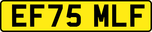 EF75MLF