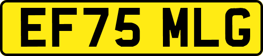 EF75MLG