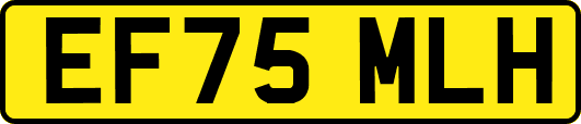 EF75MLH