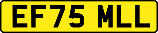 EF75MLL
