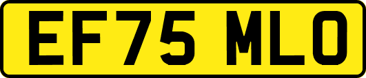 EF75MLO