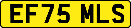 EF75MLS