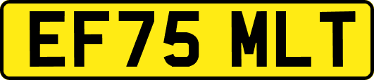 EF75MLT