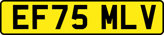 EF75MLV