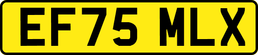 EF75MLX