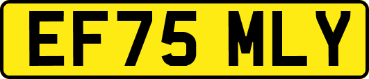 EF75MLY