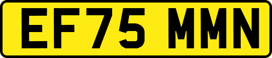 EF75MMN