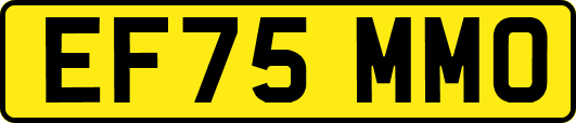 EF75MMO