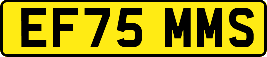EF75MMS