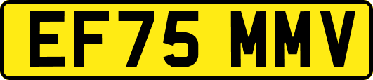 EF75MMV
