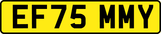 EF75MMY