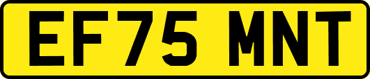 EF75MNT