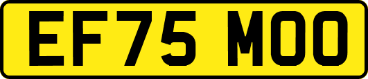 EF75MOO