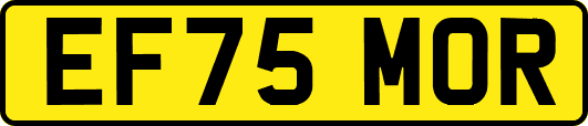 EF75MOR
