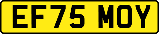 EF75MOY