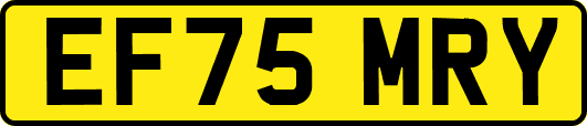 EF75MRY