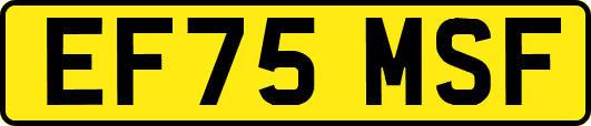 EF75MSF
