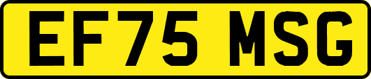 EF75MSG