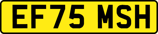 EF75MSH