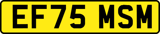 EF75MSM