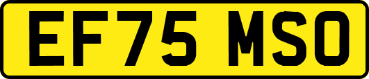 EF75MSO