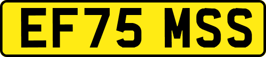 EF75MSS