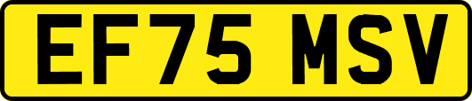 EF75MSV