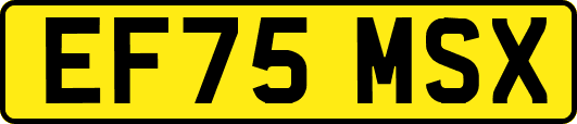 EF75MSX