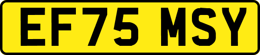 EF75MSY