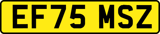 EF75MSZ