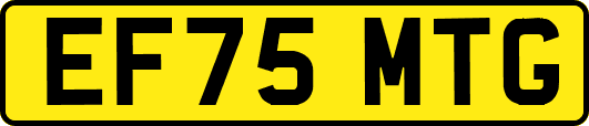 EF75MTG