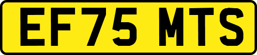 EF75MTS