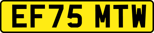 EF75MTW
