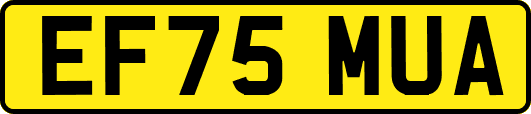 EF75MUA