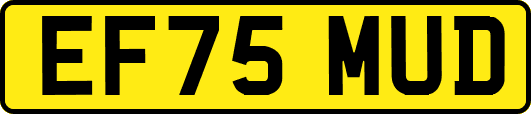 EF75MUD