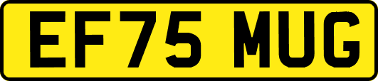 EF75MUG