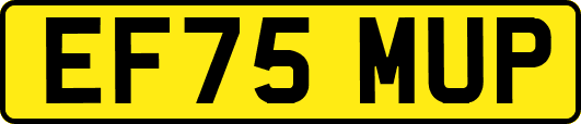 EF75MUP