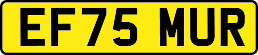 EF75MUR