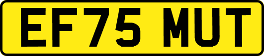EF75MUT