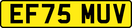 EF75MUV