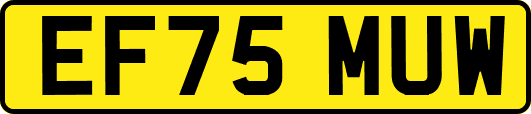 EF75MUW