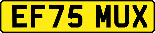 EF75MUX