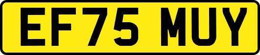 EF75MUY